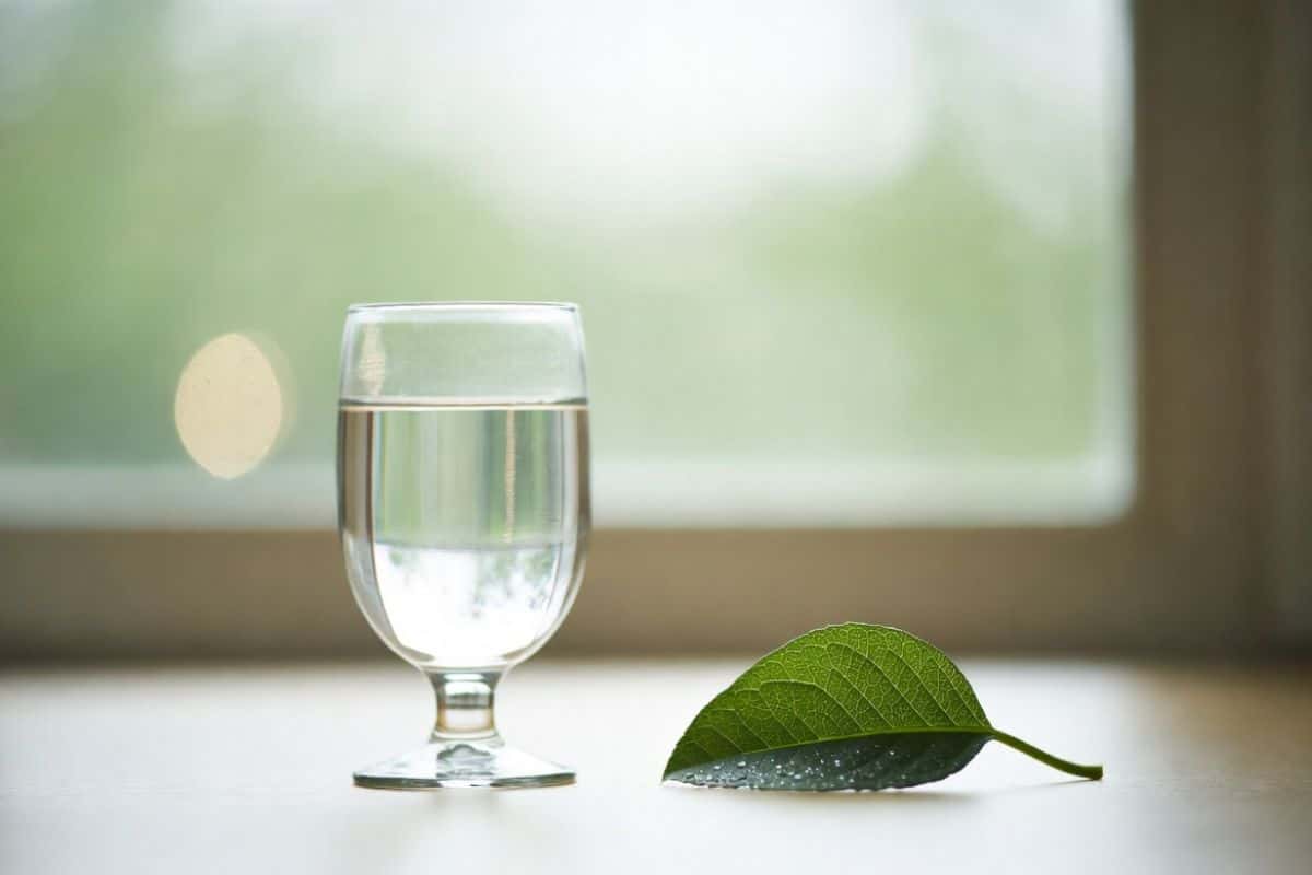 prirodni-detoxikace-organu-voda-a-list